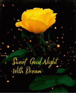 sweet good night gif