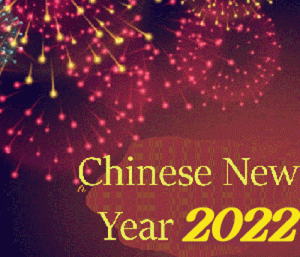 chinese new year 2022 gif